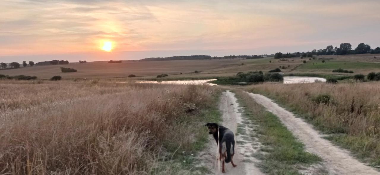 Home&Slow Life Danzica Esterno foto